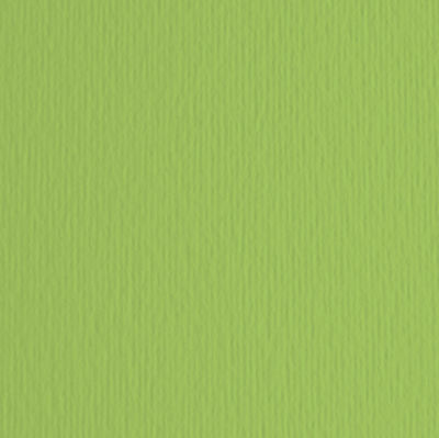 Immagine di Blister 10 Fogli Cartoncino 70x100cm Verde Pisello 110 Fabriano Elle Erre 220gr [46470110]