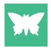 Immagine di Fustella - motivo farfalla - dim. sagoma 25 mm - CWR [10642]
