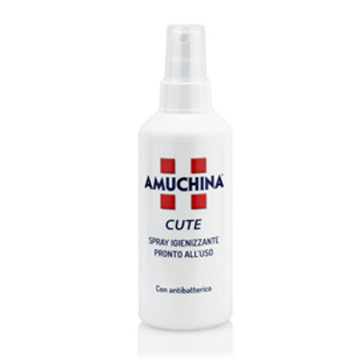 Immagine di Spray igienizzante per la cute - 200 ml - Amuchina Professional [419661]