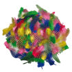 Immagine di Piume tropicali - dimensione 50-100 mm - colori assortiti - CWR - conf. 100 pezzi [12609]