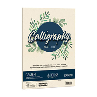 Immagine di Carta Calligraphy Nature Crush - A4 - 200 gr - alga - Favini - conf. 50 fogli [A69Q344]
