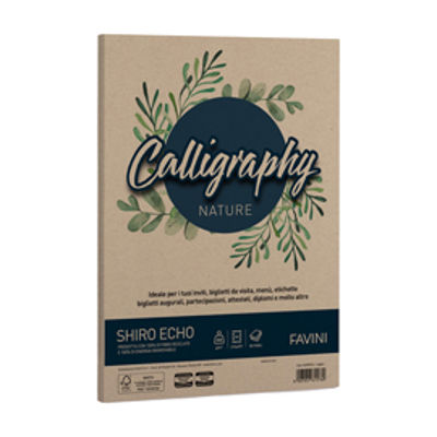 Immagine di Carta Calligraphy Nature Shiro Eco - A4 - 250 gr - legno - Favini - conf. 50 fogli [A69N914]