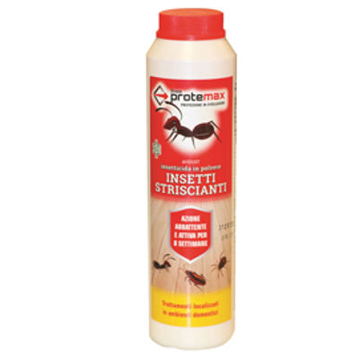 Immagine di Insetticida per insetti striscianti - in polvere - 200 gr - Protemax [PROTE305]