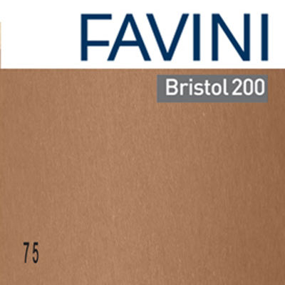 Immagine di Cartoncino Bristol Color - 50 x70 cm - 200 gr - marrone 75 - Favini - conf. 25 pezzi [A358022]