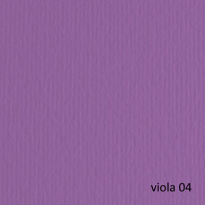 Immagine di Cartoncino Elle Erre - 50x70cm - 220gr - viola 104 - Fabriano - blister 20 fogli [42450704]