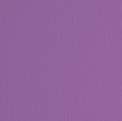 Immagine di Cartoncino Elle Erre - 70x100cm - 220gr - viola 104 - Fabriano - blister 10 fogli [46470104]