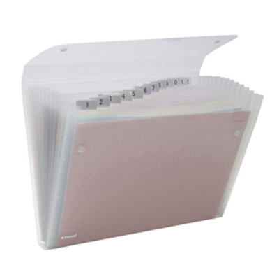 Immagine di CARTELLA A 13 TASCHE 22X30CM TRASPARENTE ICE REXEL [2102035]