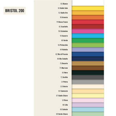 Immagine di Cartoncino Bristol Color 70x100cm 200gr  [PAL260]