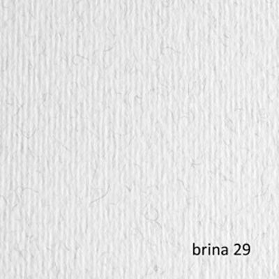 Immagine di Cartoncino Elle Erre - 50x70cm - 220gr - brina 29 - Fabriano - blister 20 fogli [42450729]