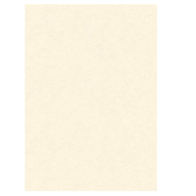 Immagine di Diplomi in pergamena - stampa offset - A3 - 160 gr - neutro avorio - Kartos - conf. 10 pezzi [OD14618200S10]