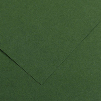 Immagine di Foglio Colorline - 70x100 cm - 220 gr - verde abete - Canson [200041217]