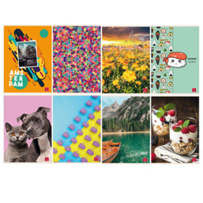 Immagine di Maxiquaderno assortimento Ragazza - A4 - 5 mm - 42 fogli - 80 gr - Pigna [02330365M]